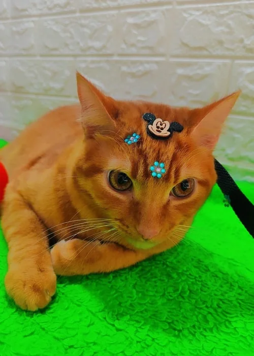 foto carrousel 2-min