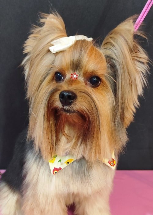 foto carrousel 3-min